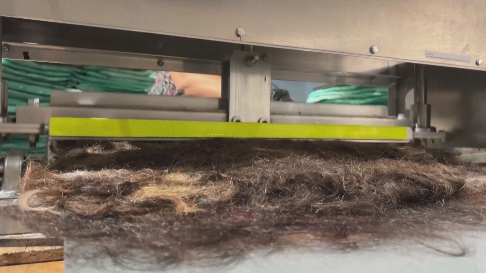 智利環保團體收集廢棄毛髮製成「油污剋星」
