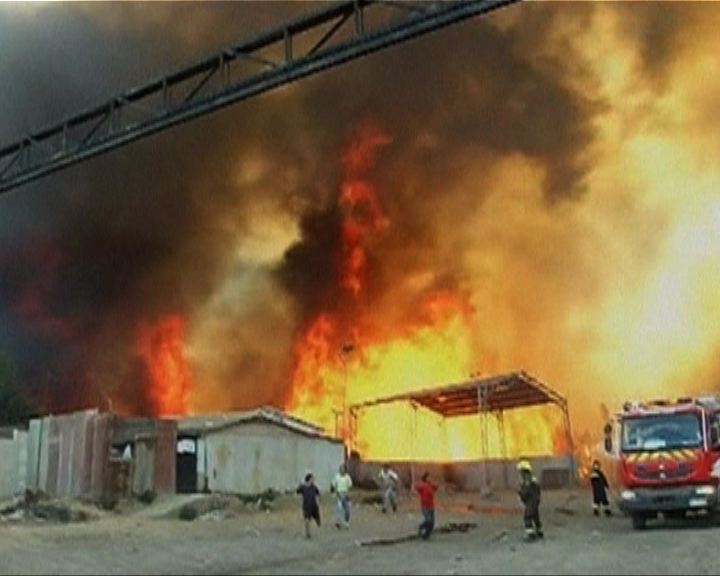 
智利山火未受控至少12人死亡