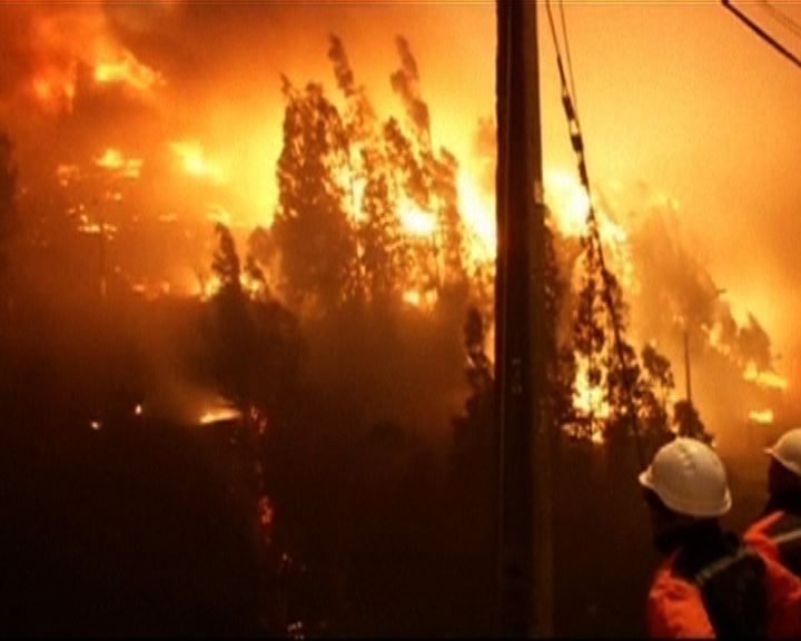 
智利山火造成至少四死