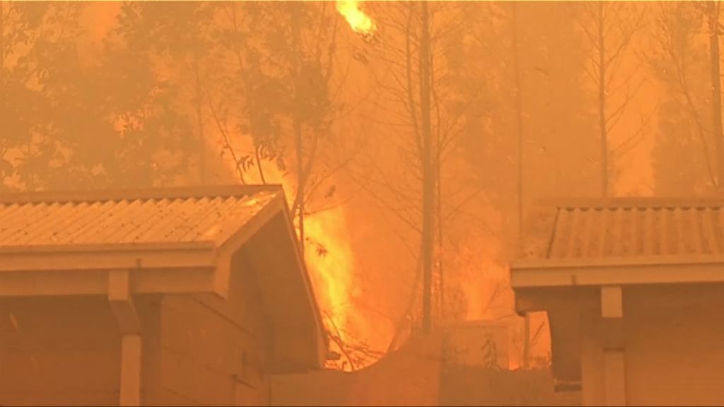 智利中南部山火未受控威脅民居