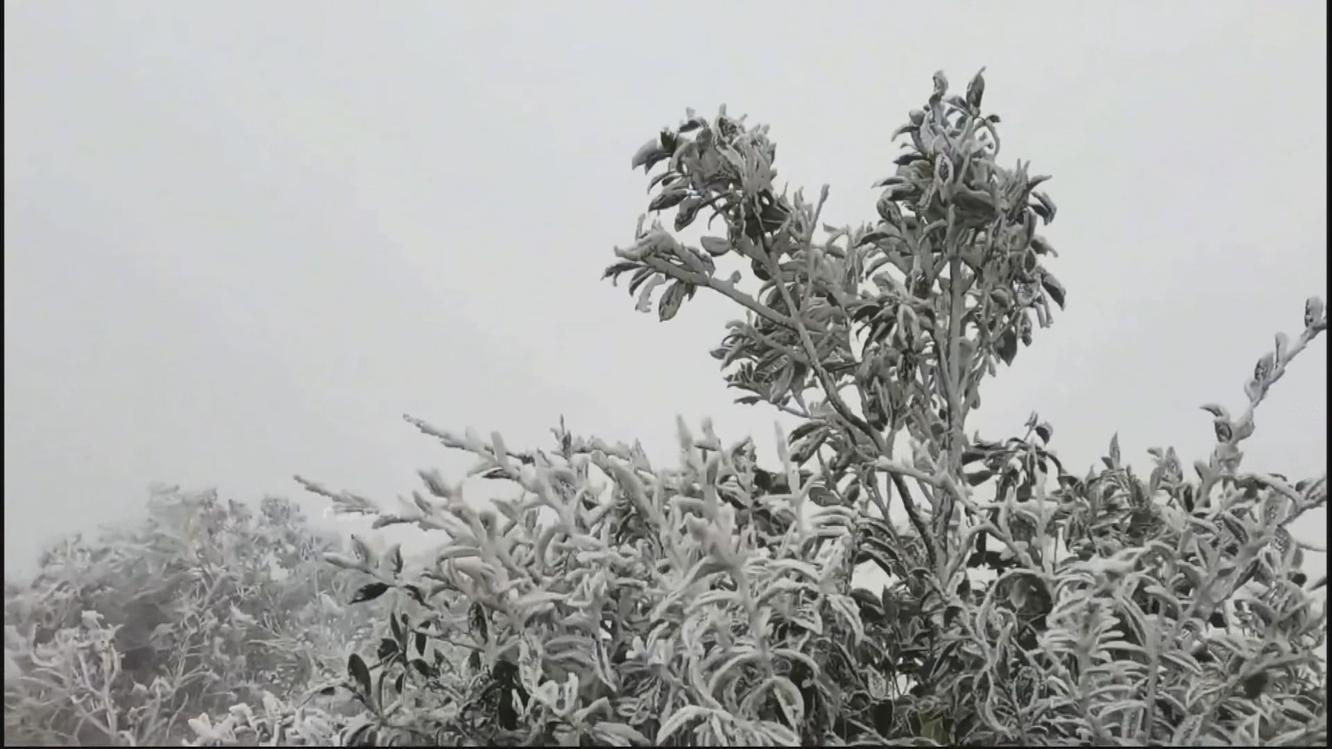 廣東多地山區嚴寒下現冰掛霧淞景觀 北方氣溫預料下周一開始回升
