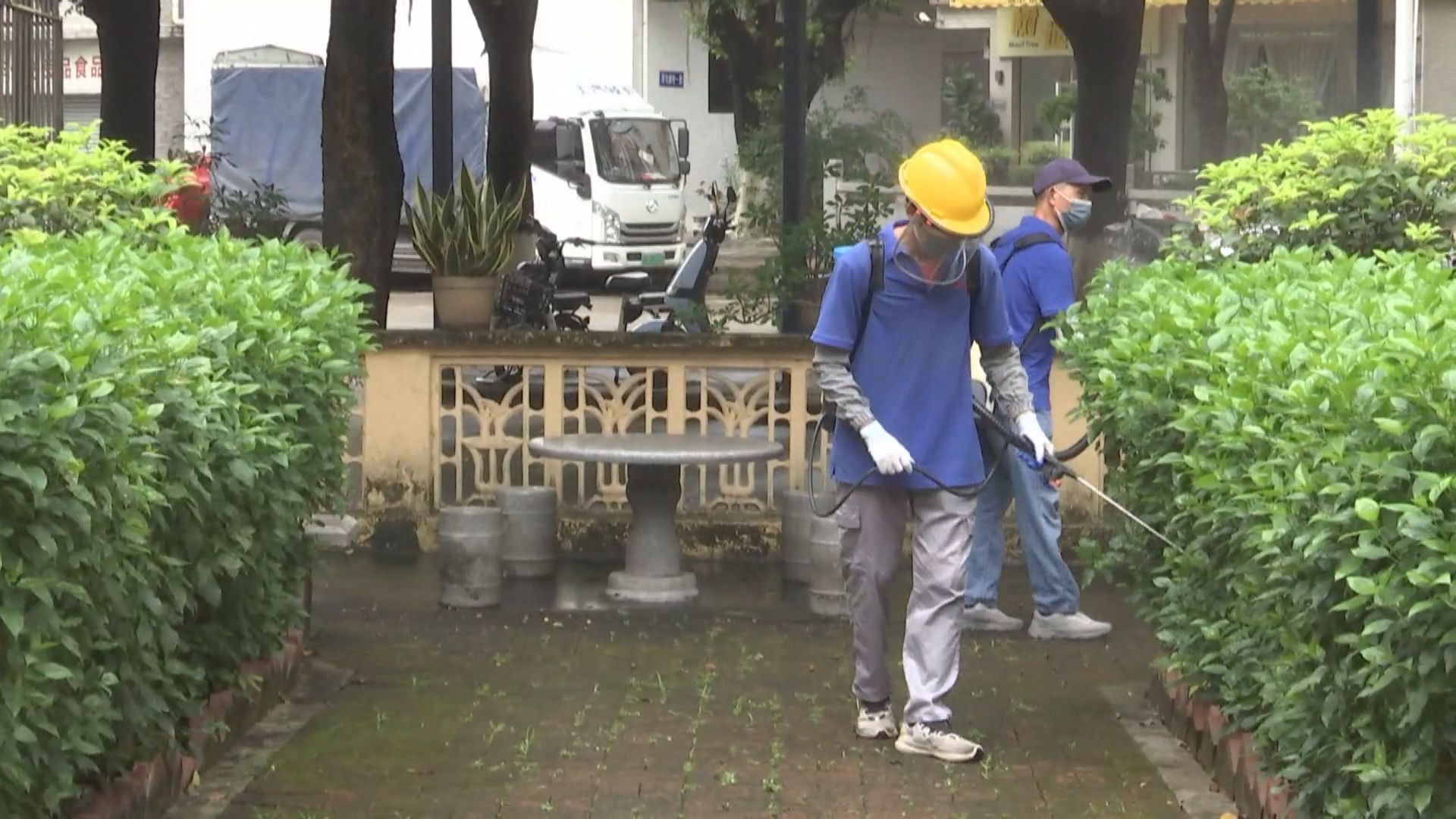 基孔肯雅熱｜因應疫情　廣東佛山今日展開全市滅蚊行動