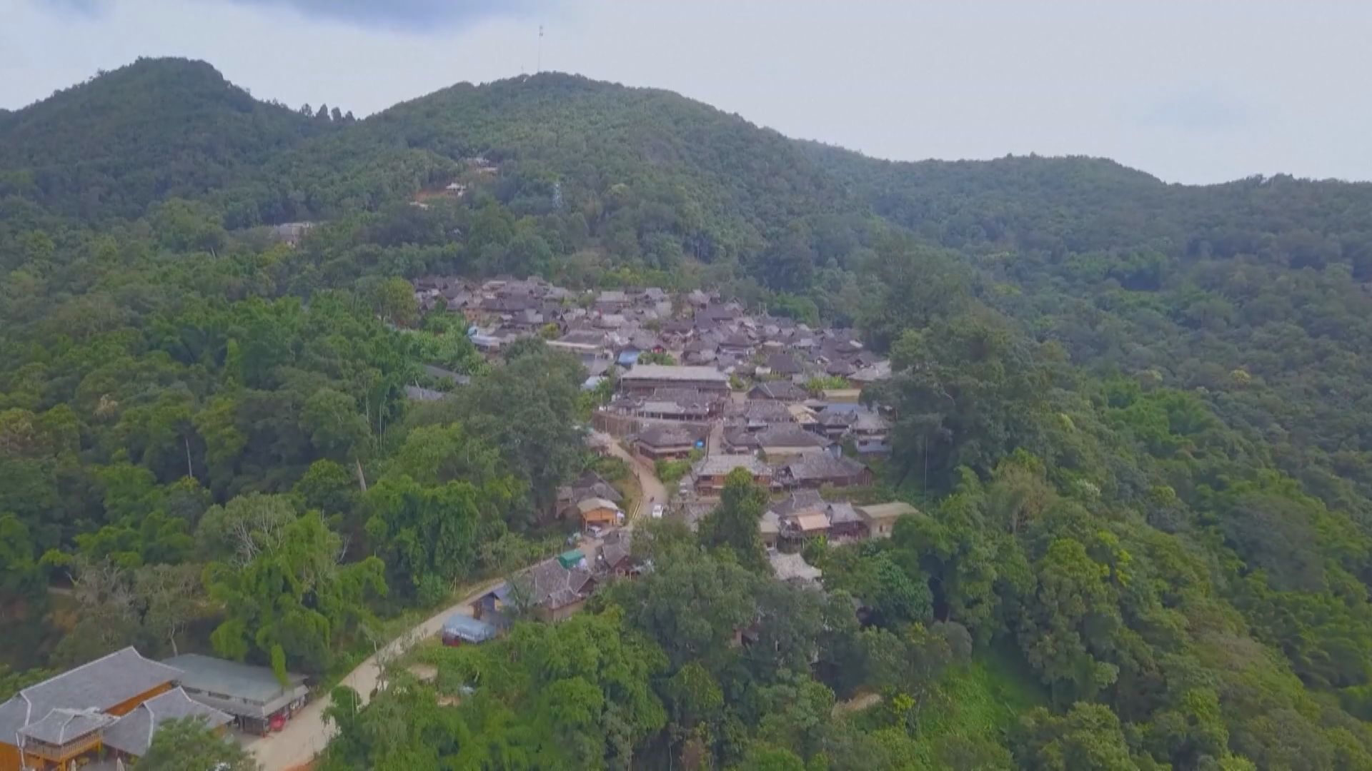 普洱景邁山古茶林文化景觀列入世界遺產