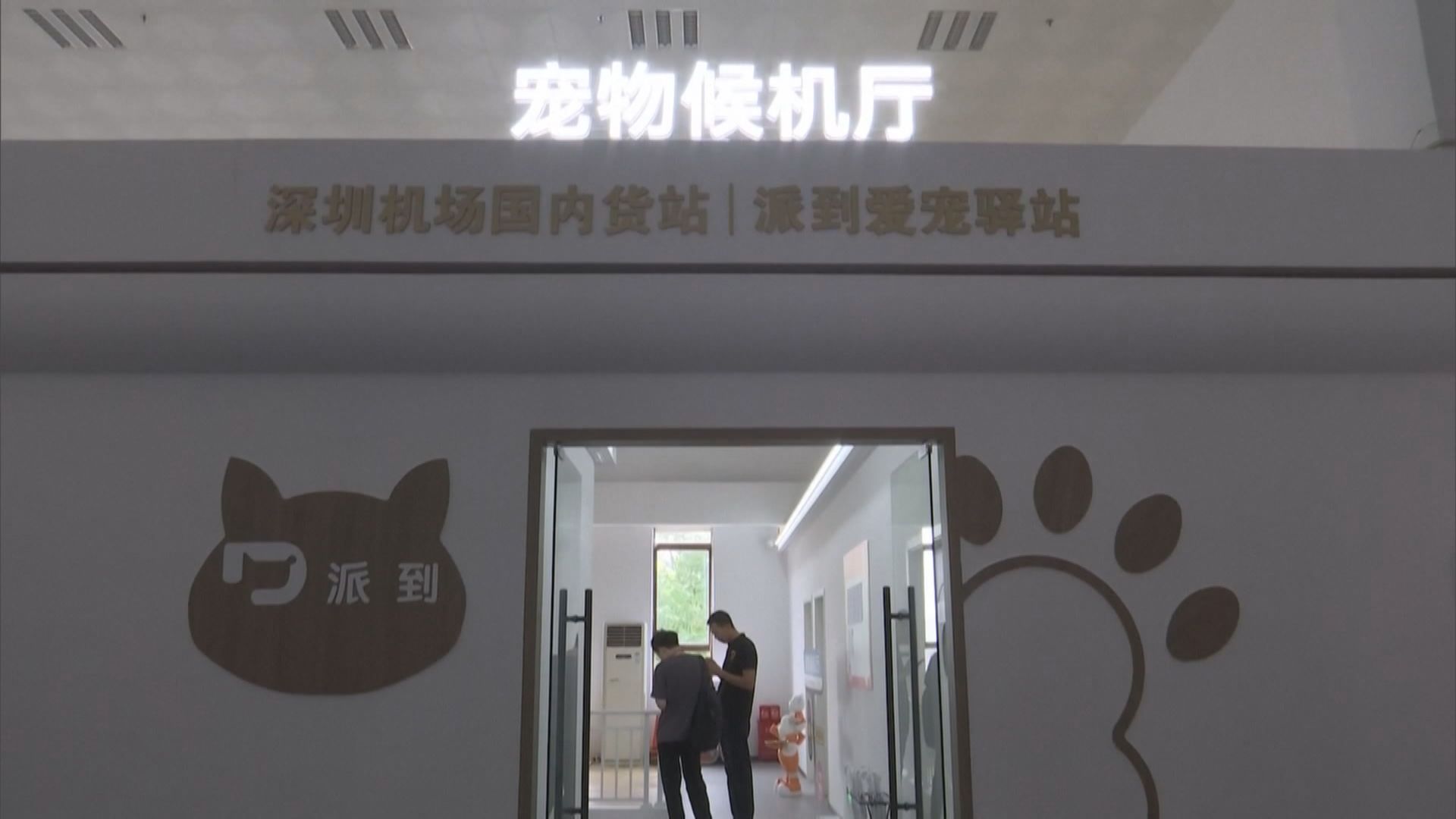【寵物出行】深圳機場設寵物候機廳 高鐵考慮允小動物上車