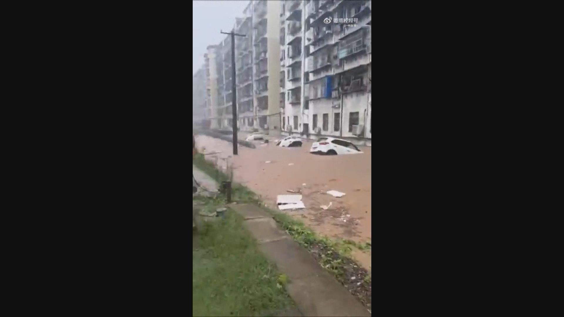 湖北車輛暴雨下墮河 四人死亡