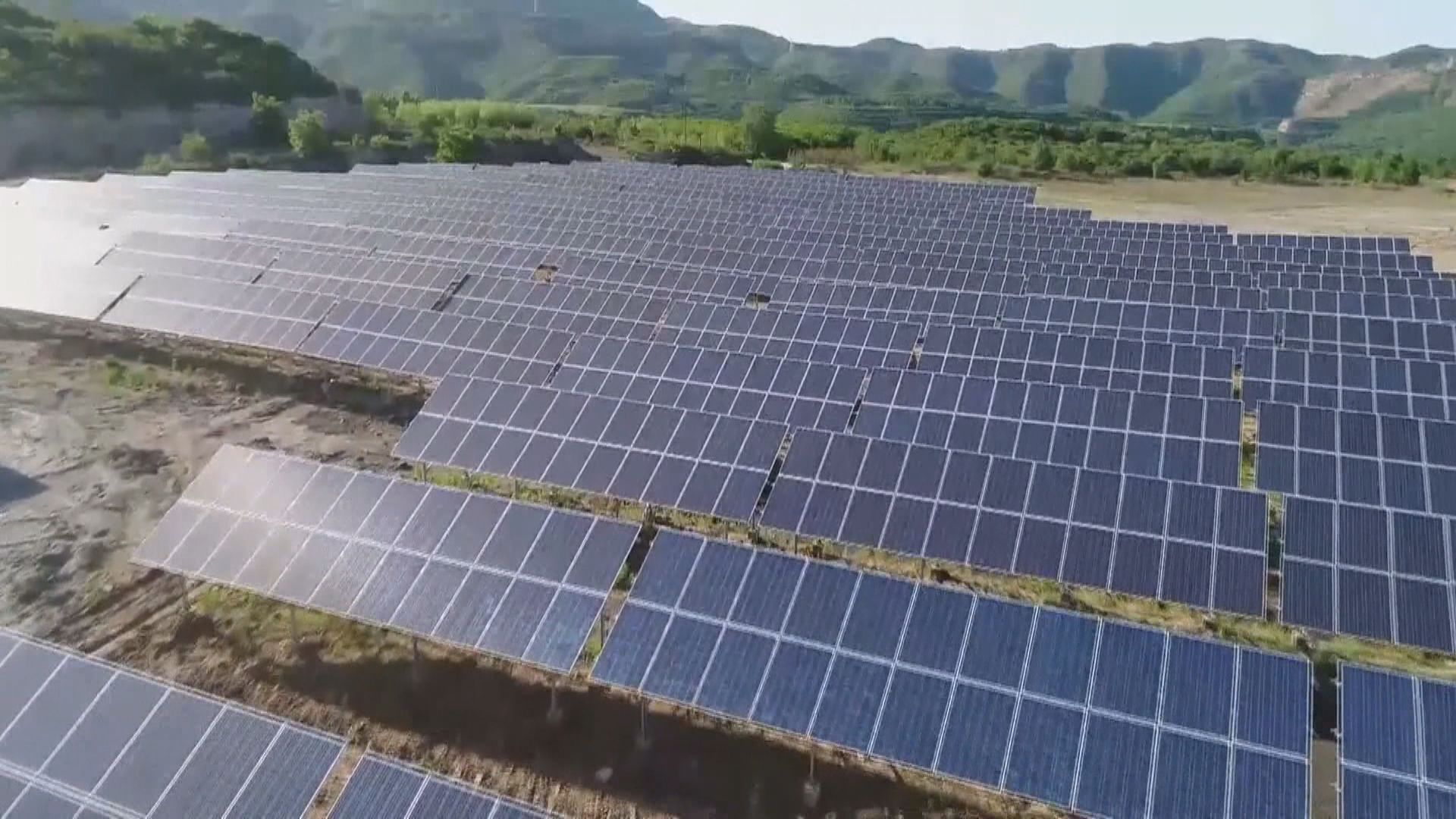 美國將調查中國太陽能電池板製造商是否逃避關稅