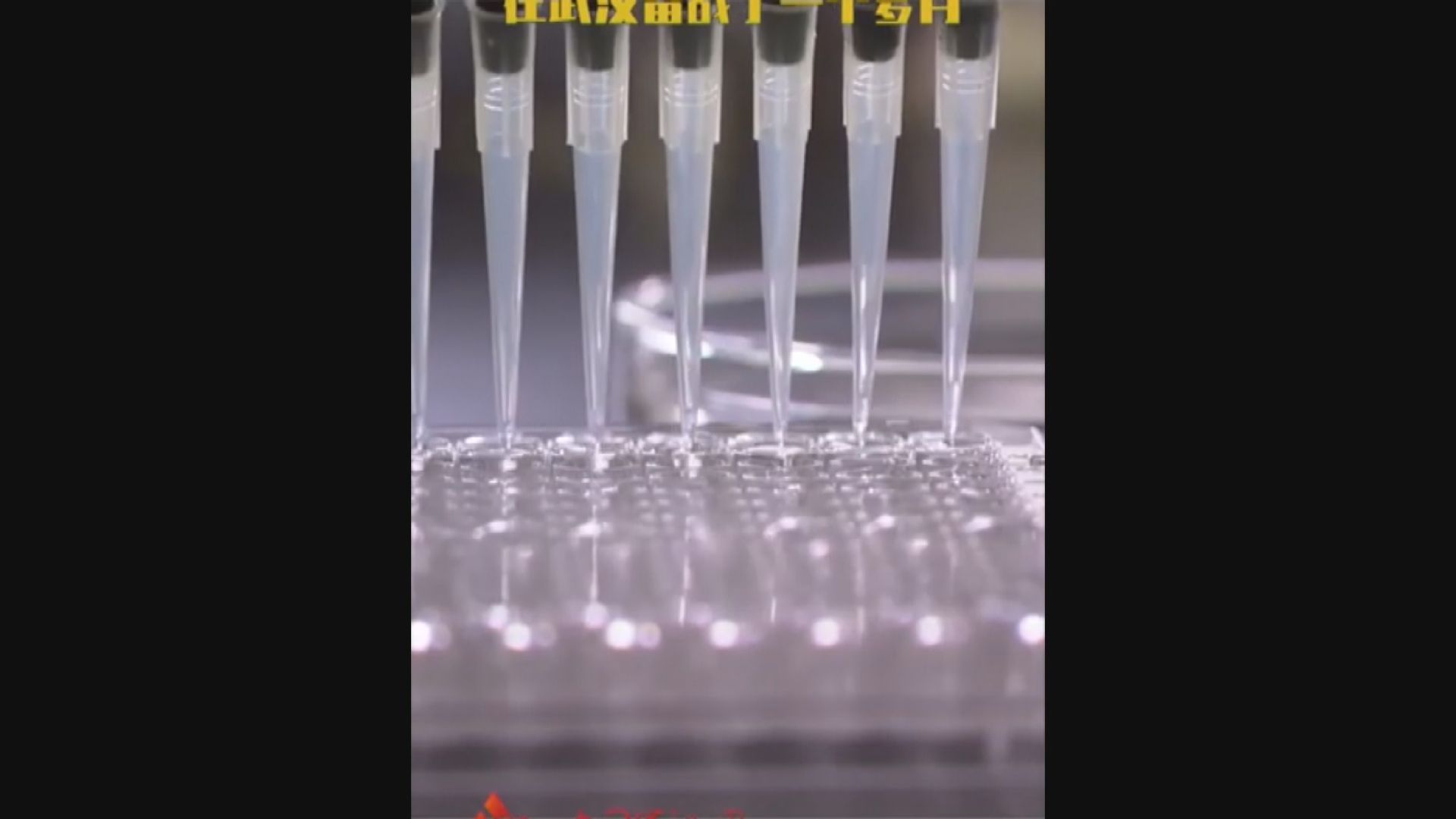 內地首個新冠病毒疫苗專利獲批