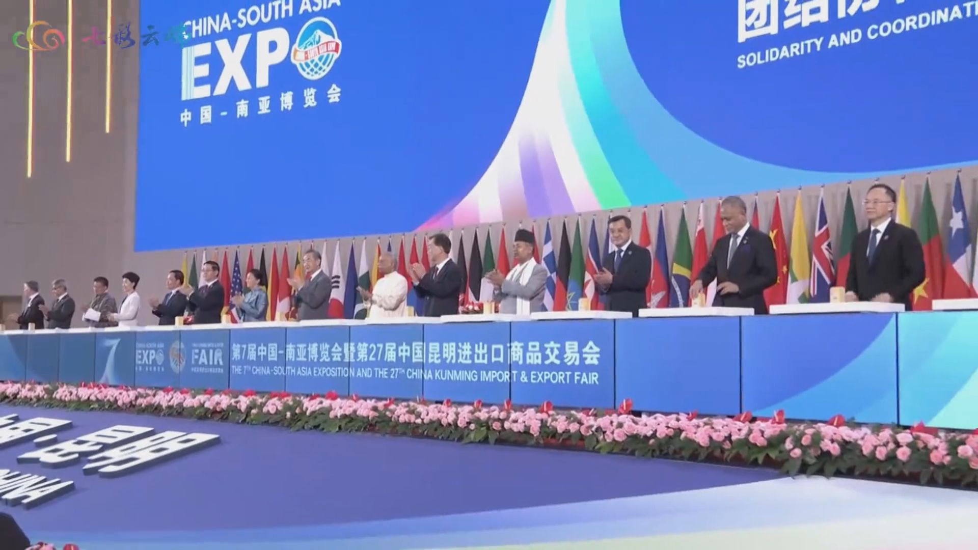 中國—南亞博覽會開幕 王毅稱中方願與南亞國家加強團結協作
