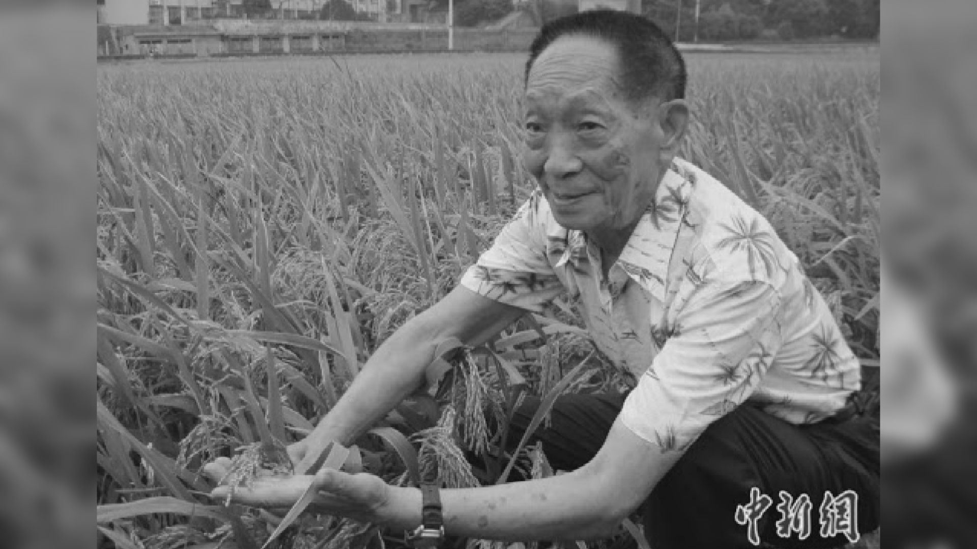 中國雜交水稻之父袁隆平逝世　靈柩運至殯儀館民眾醫院外夾道送別