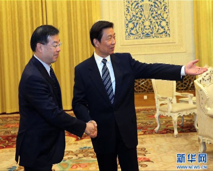 
李源潮接見日本知事訪華團