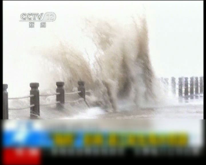 
海鷗登陸海南廣東多處海水倒灌