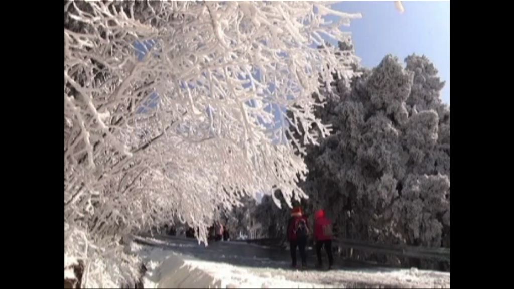 內地多處氣溫急跌8至12度