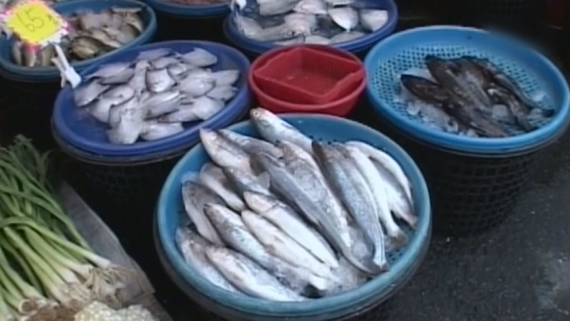 大陸禁止台灣百多種水產進口　主要是秋刀魚、魷魚等
