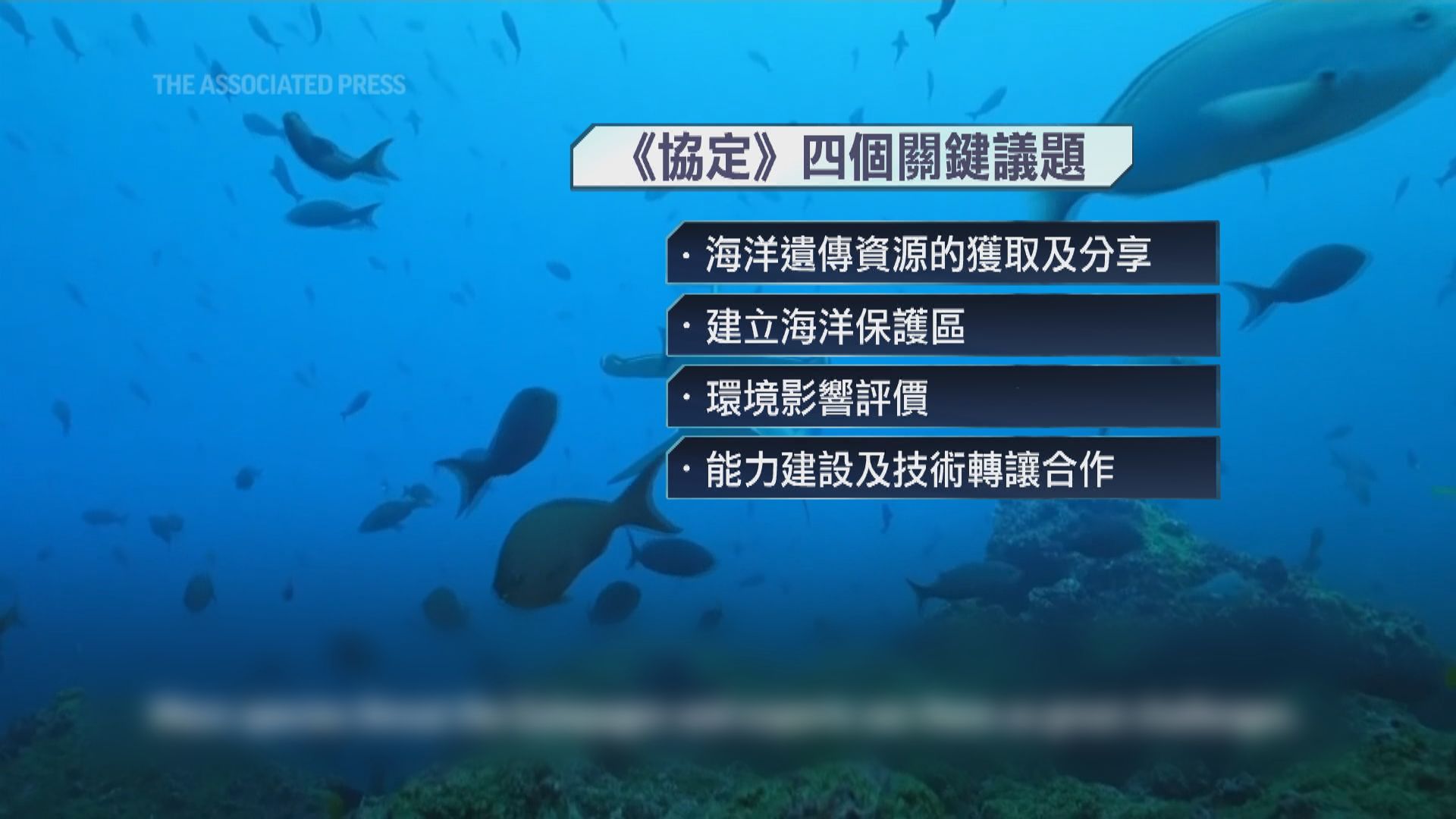 中國簽署聯合國維護海洋生物多樣性協定