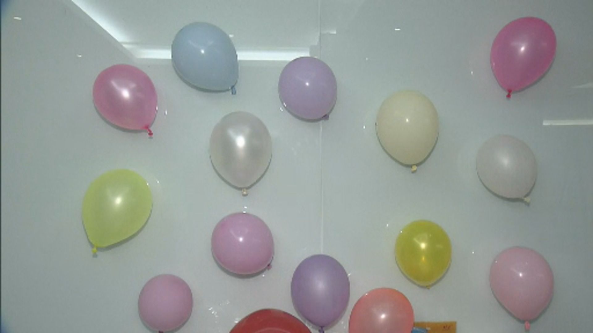 消委會測試19款乳膠氣球 驗出潛在致癌物
