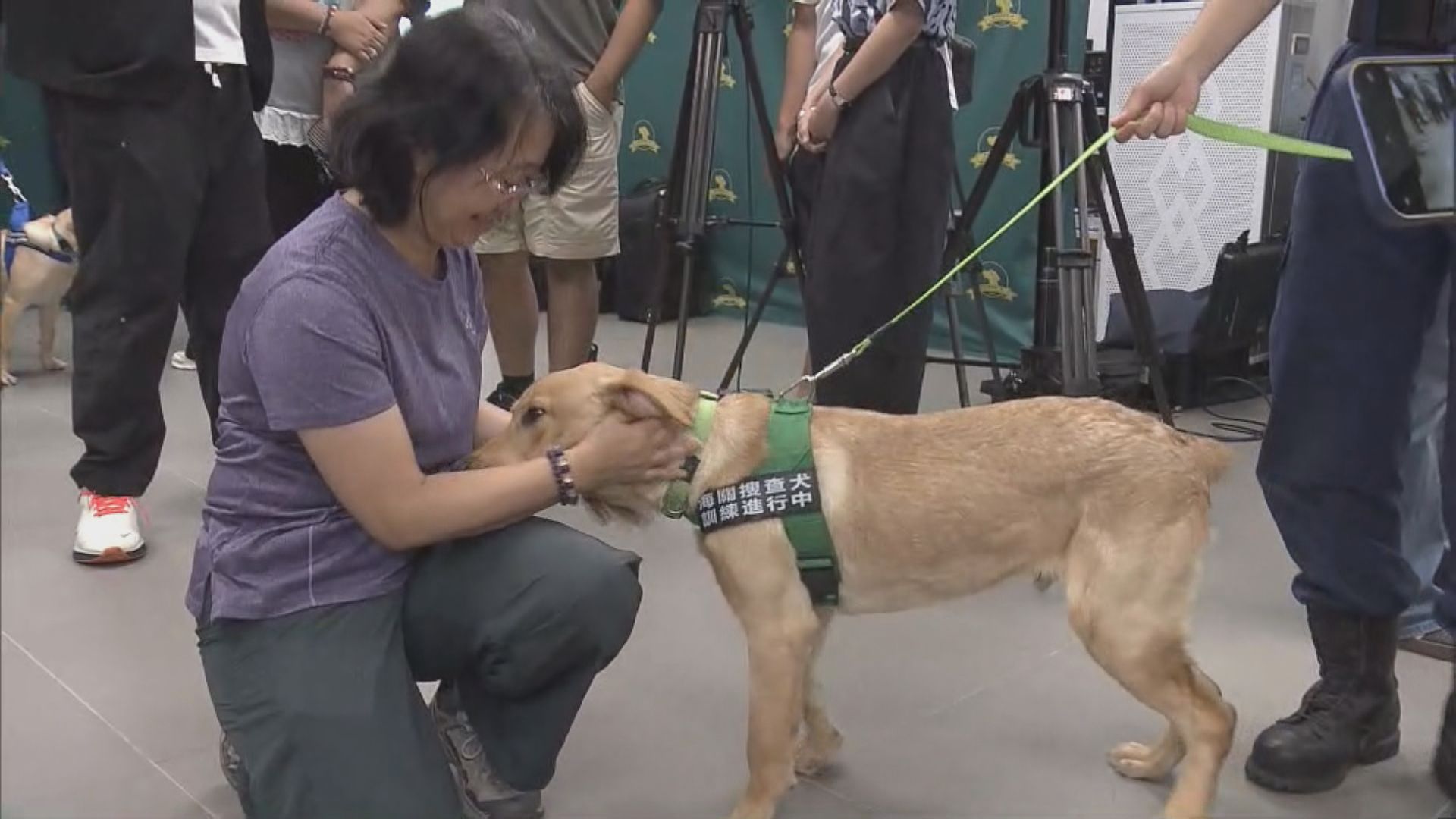 海關8隻搜查幼犬以「CHAMPION」命名　亮相與市民互動