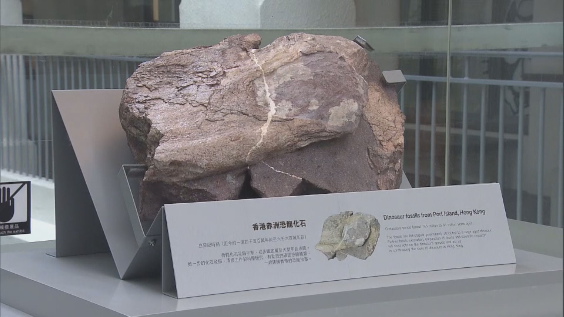 文物探知館展出本港出土恐龍化石　當局研究「恐龍旅遊」