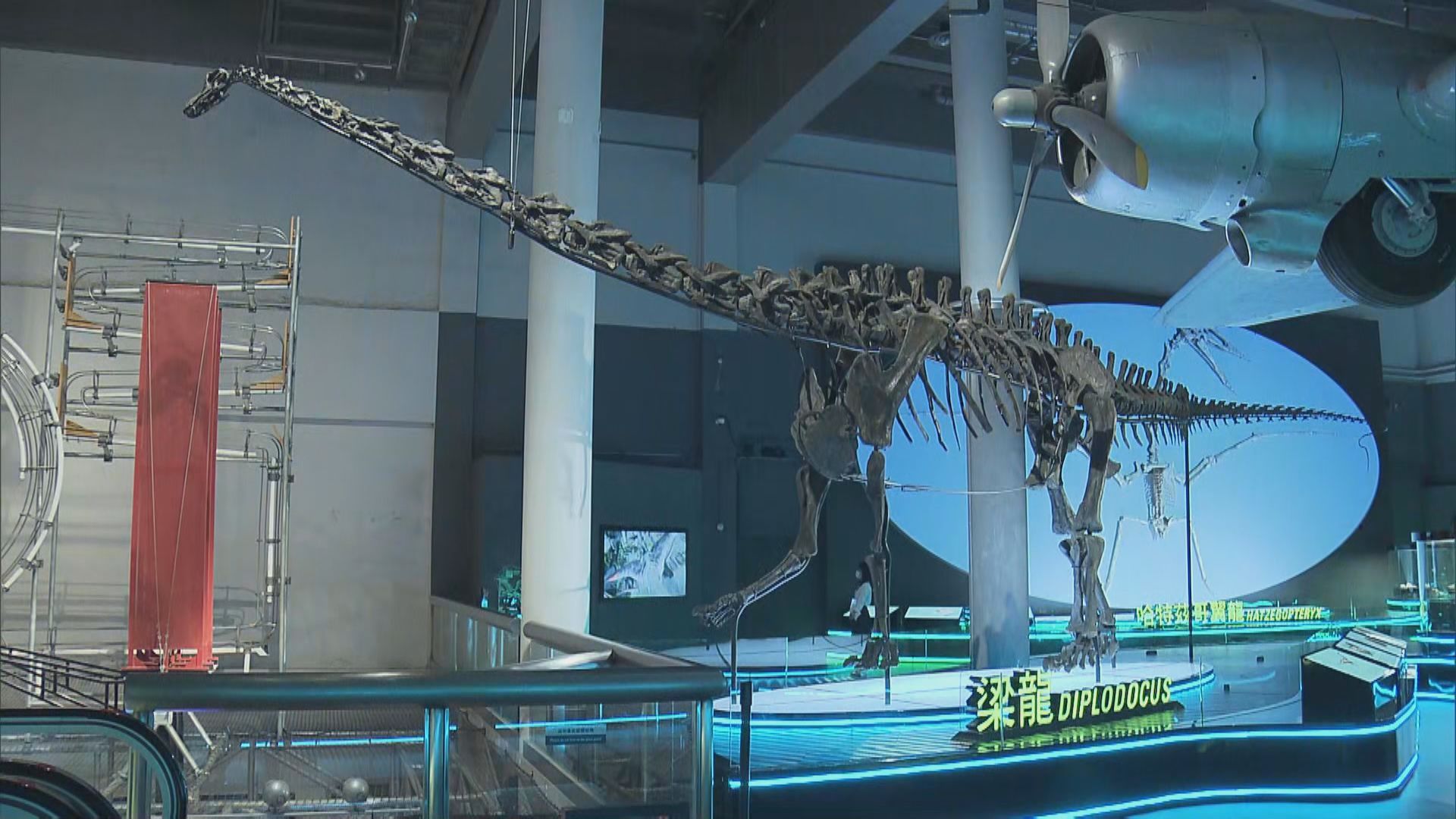 香港科學館星期五起舉行大型恐龍展覽
