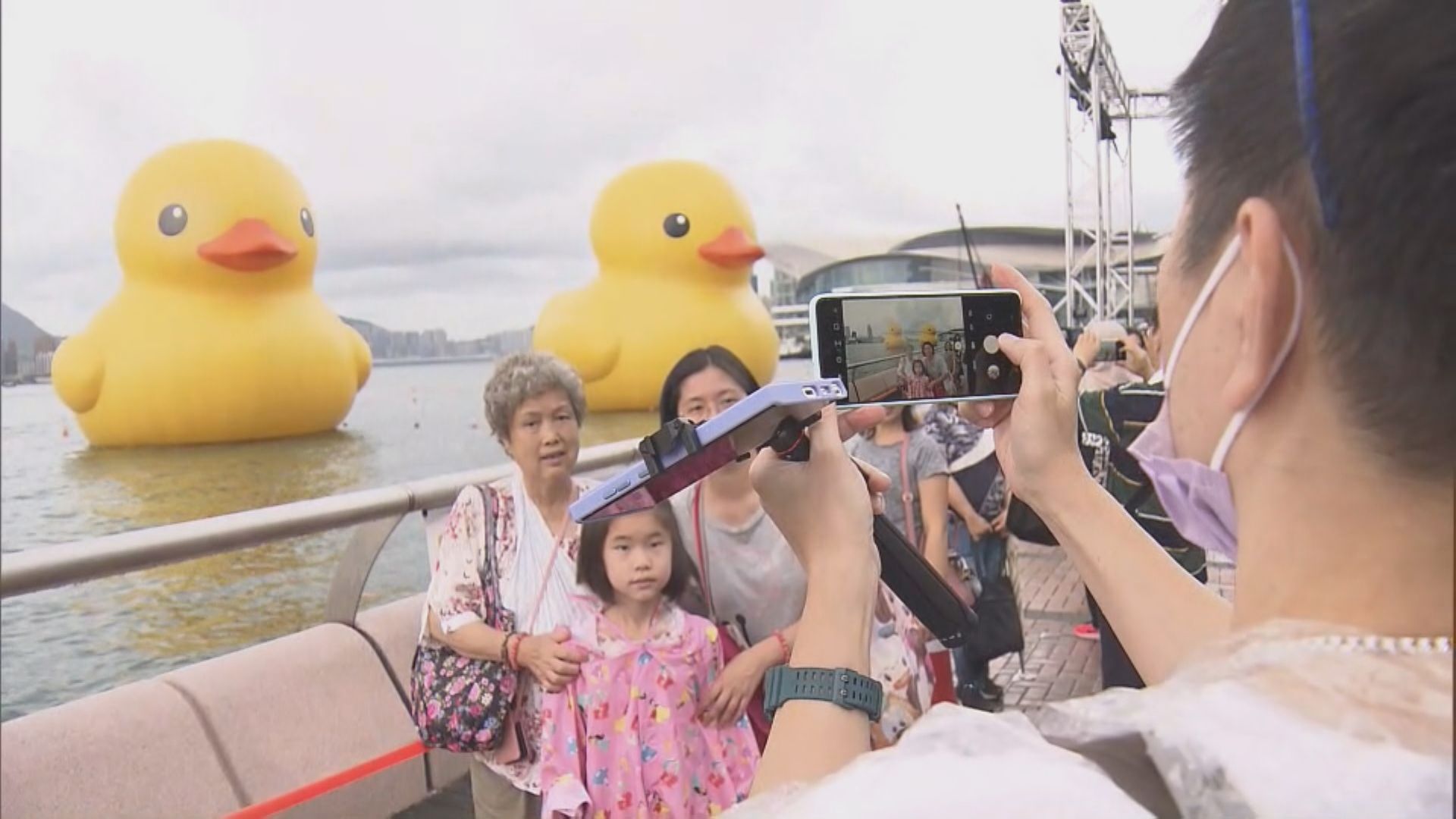 巨型黃鴨下午巡遊後 將結束維港展覽