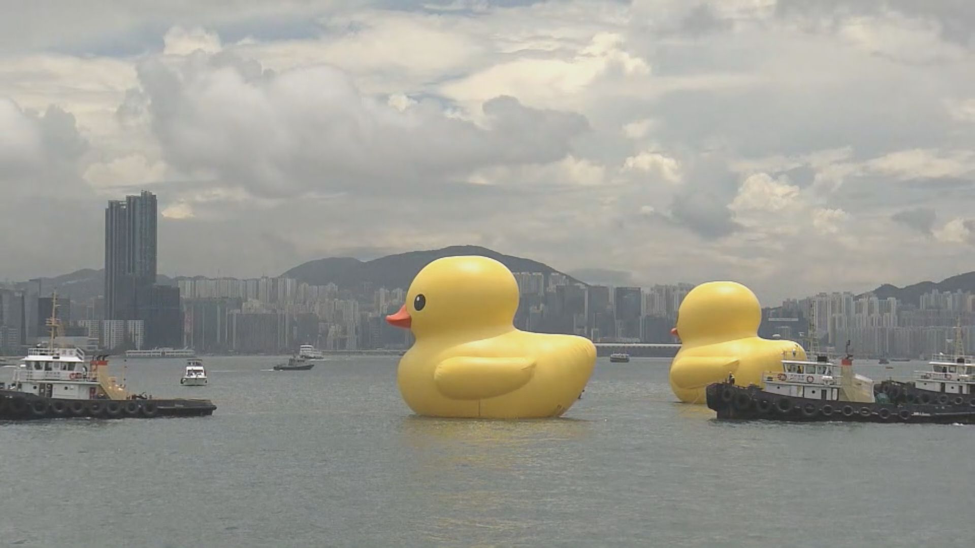 黃色巨型橡皮鴨在中西區海濱長廊舉辦啟航禮