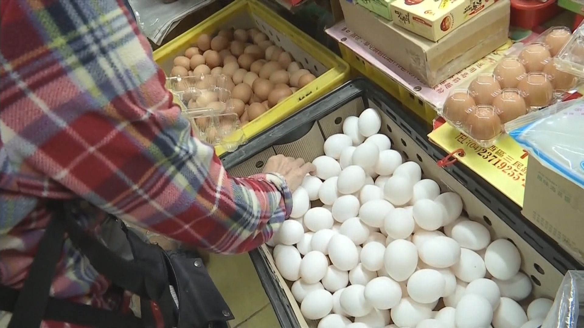 受禽流感疫情影響　日本雞蛋價格飆升