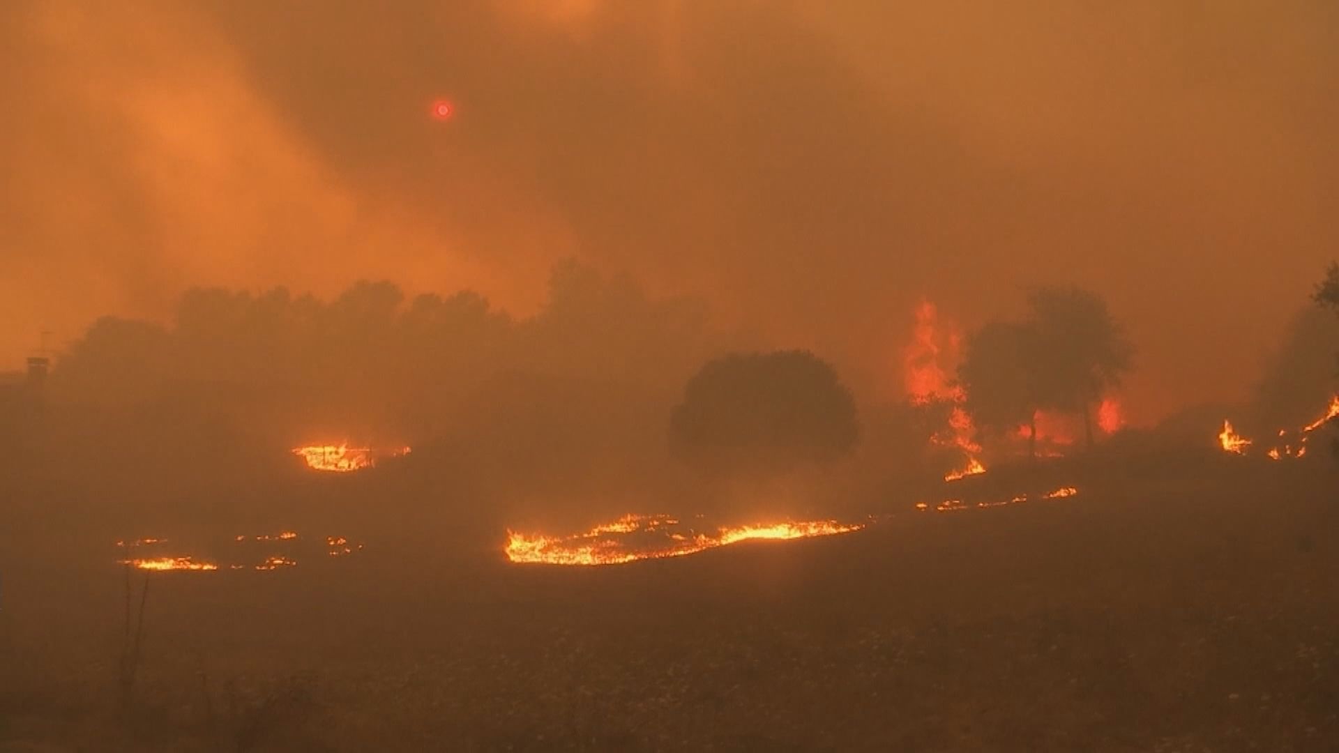 熱浪續侵襲歐洲多國　葡萄牙多處發生山火