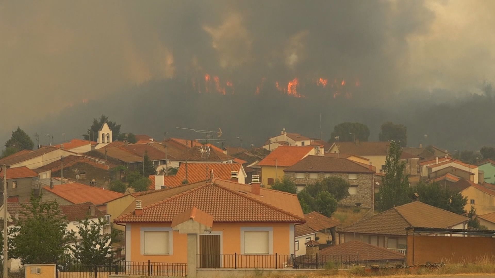 熱浪導致西班牙、葡萄牙逾千人死亡
