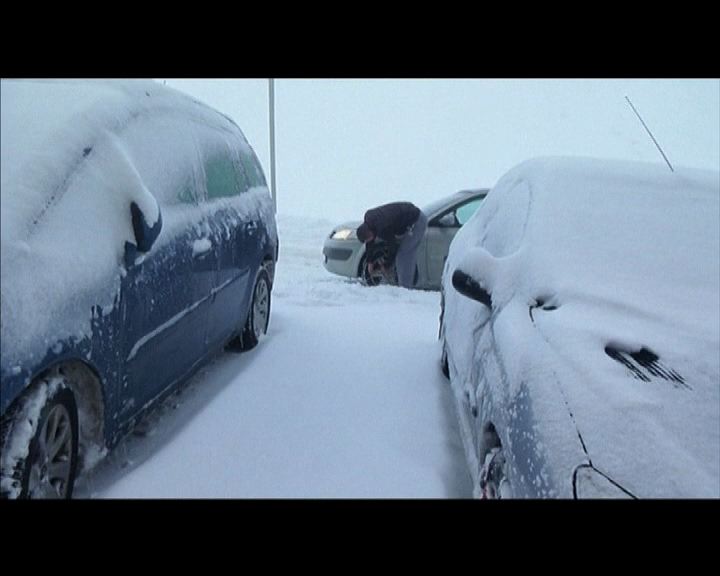 
法國山區大雪逾萬汽車被困