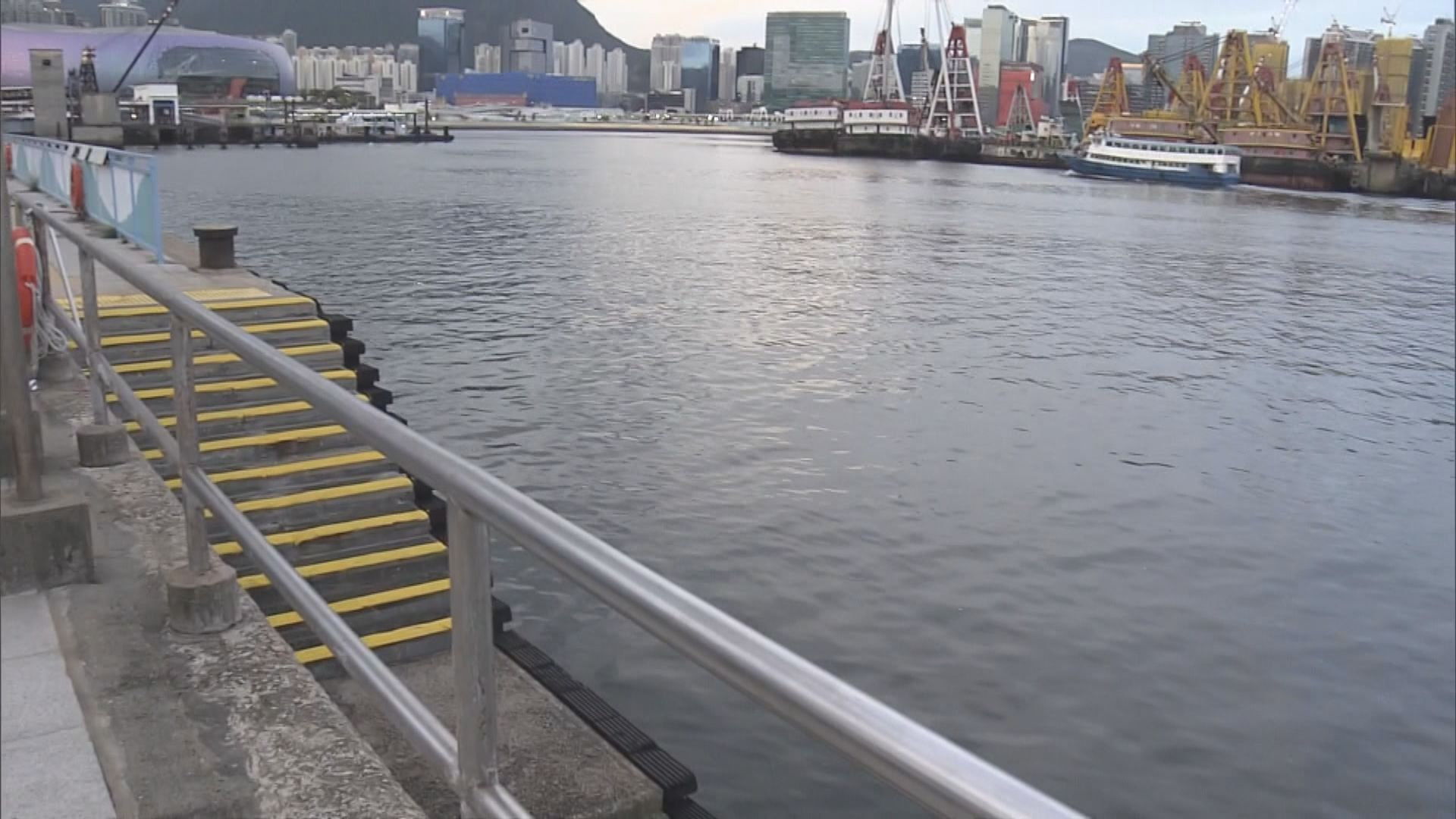警拘一男涉紅磡推九歲男童落海　調查疑犯精神狀態及犯案動機