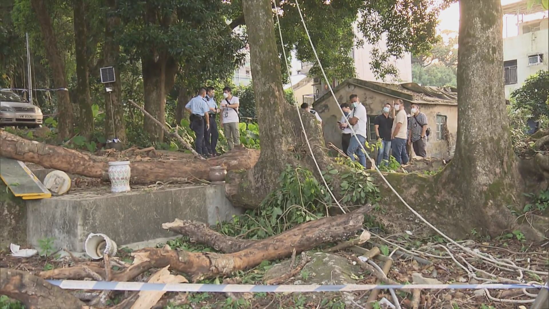 林錦公路有男子遭塌樹擊中　送院後不治