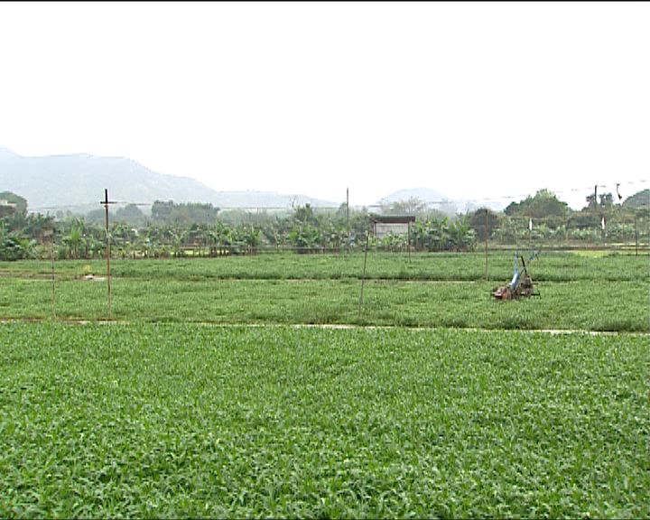
政府倡設70至80公頃農業園