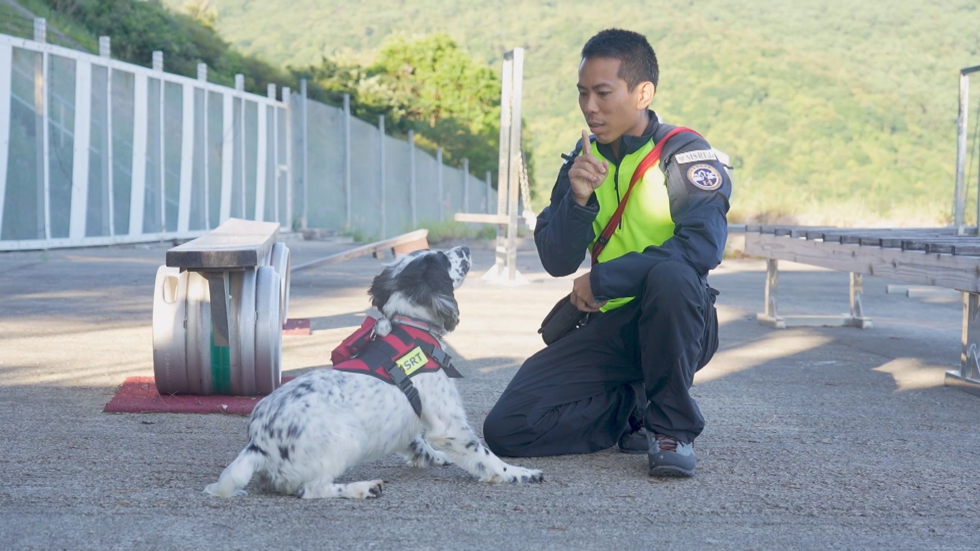 消防處搜救犬隊調整訓練策略 冀增搜救犬數量