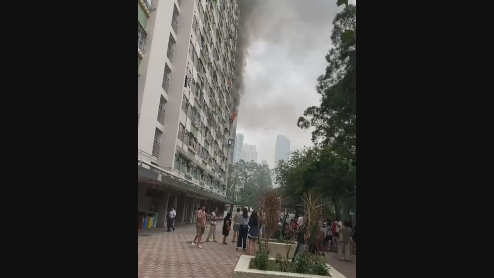 葵涌大窩口邨單位火警 近百人疏散