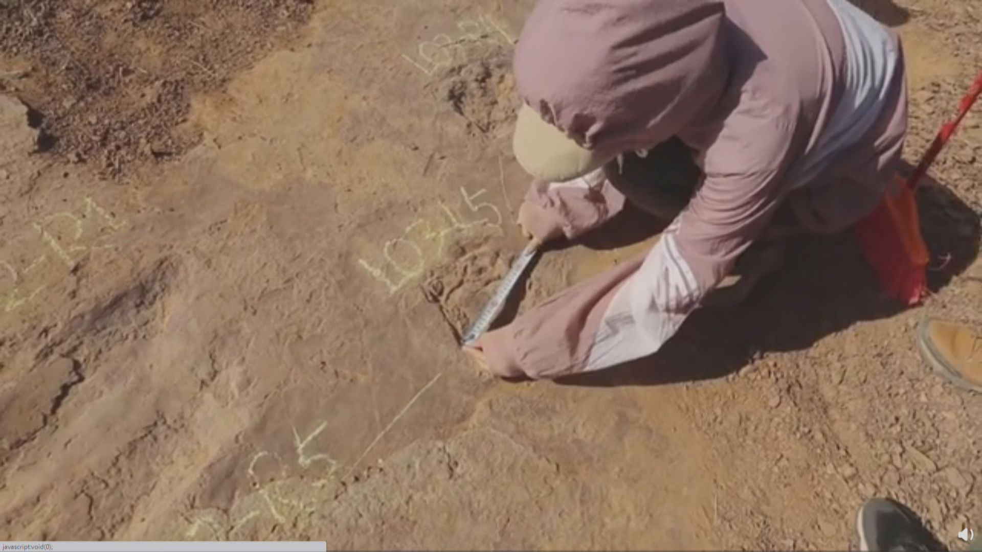福建龍岩市發現恐龍足跡群化石