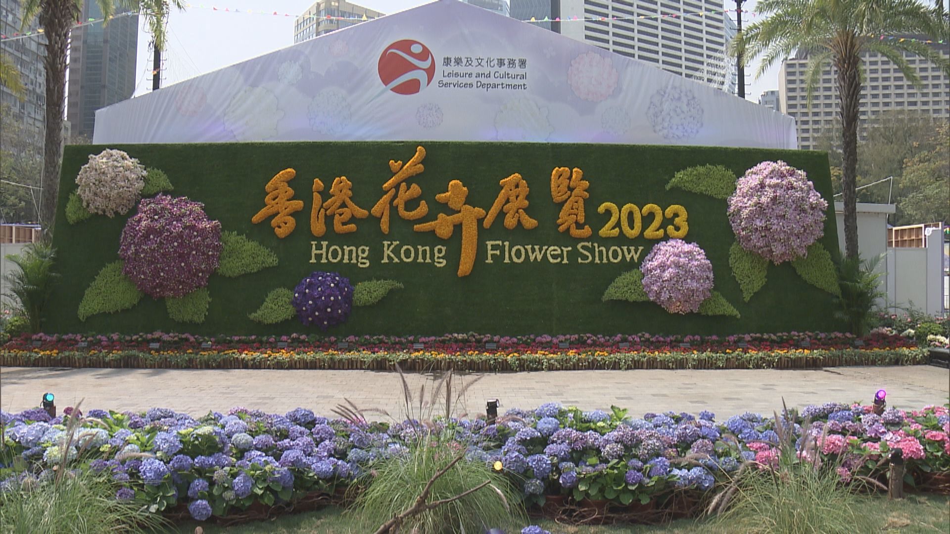 香港花卉展明起維園復辦　以繡球花為主題