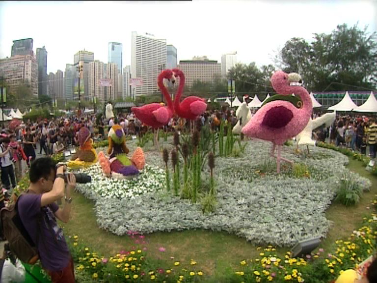 
維園花卉展吸引大批市民入場