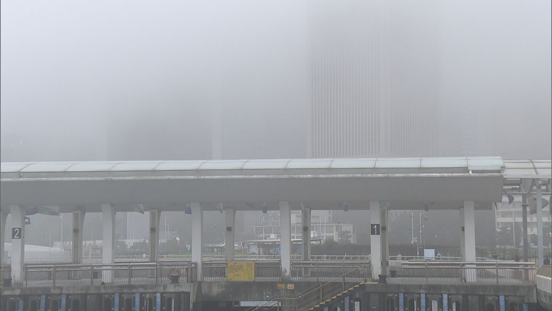 維港晨霧籠罩能見度降至100米　明日氣溫顯著下降