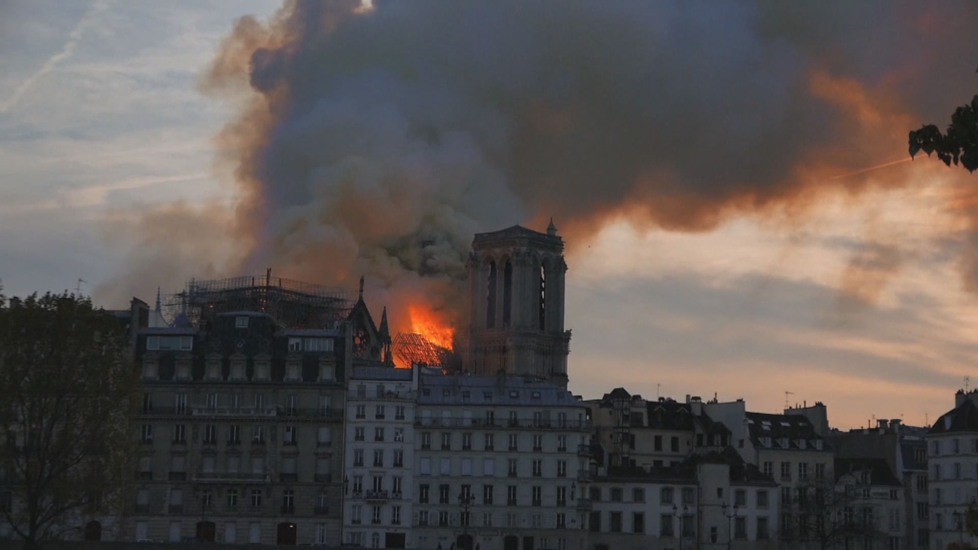 巴黎聖母院火災後　有兒童血含鉛量超標