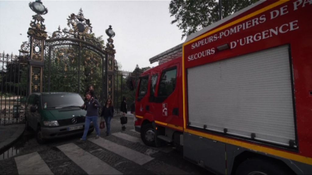 巴黎逾十人公園遭雷電擊中