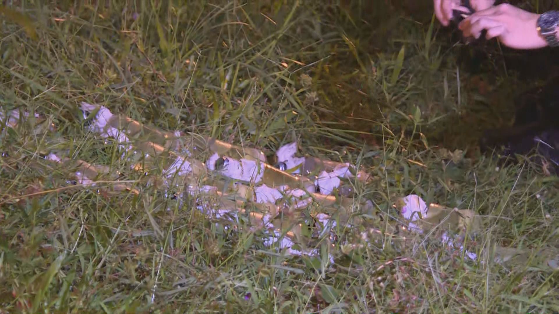 沙田中央公園草叢發現20支懷疑汽油彈