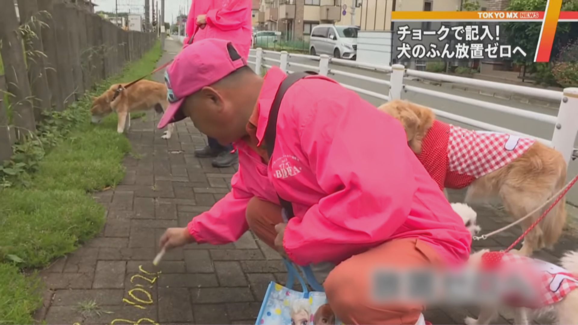 【環球薈報】日本利用黃粉筆提醒狗主清理狗糞