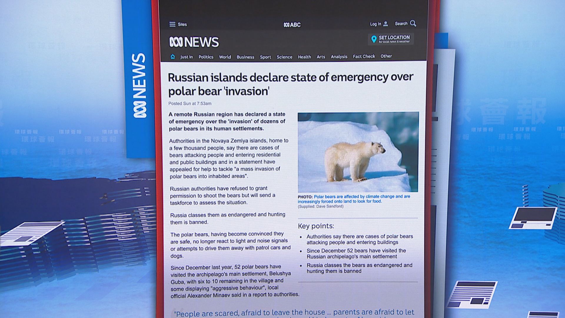 【環球薈報】北極熊為覓食闖俄羅斯新地島民居
