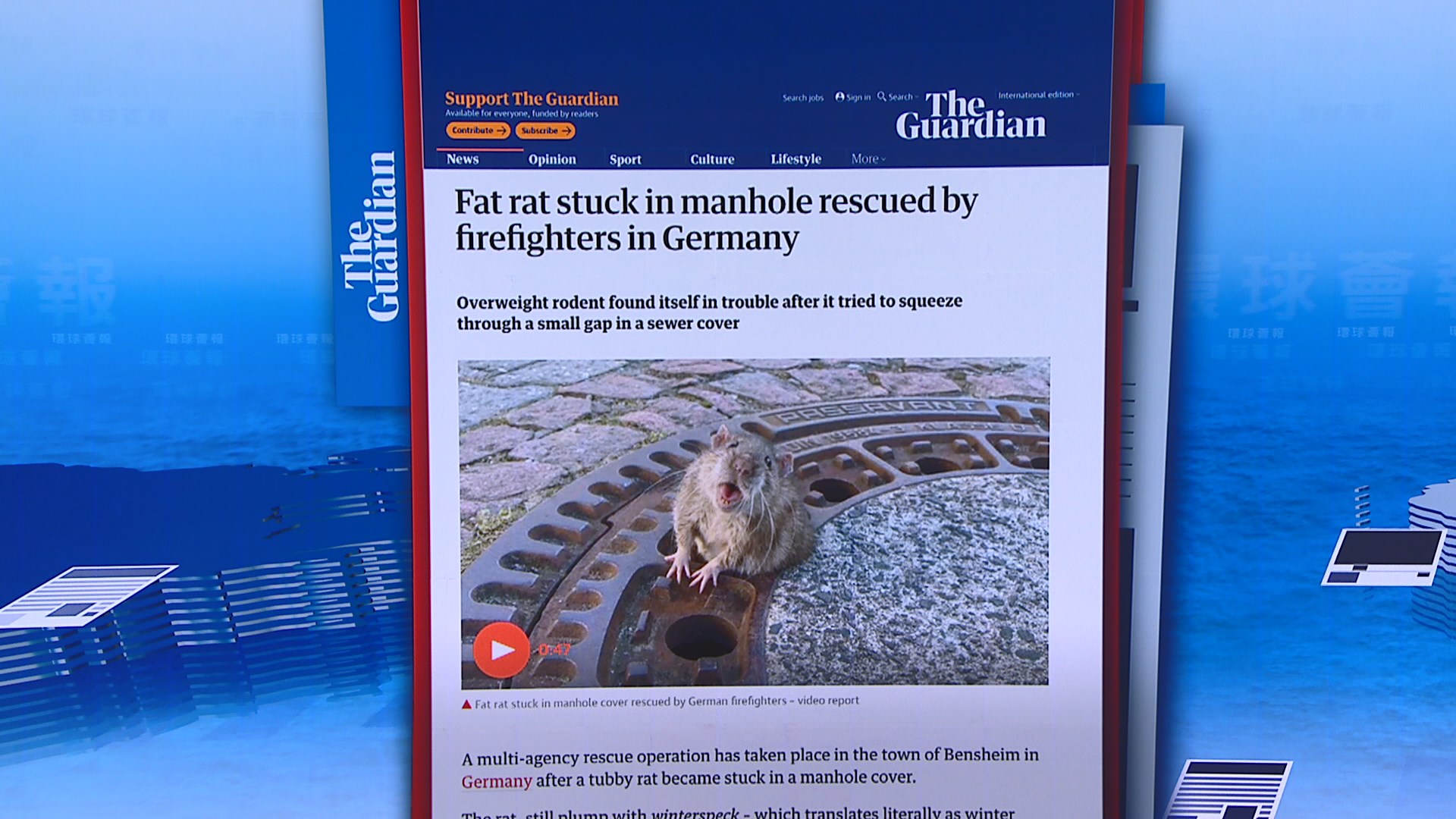 【環球薈報】德國消防員拯救被困胖老鼠惹爭議