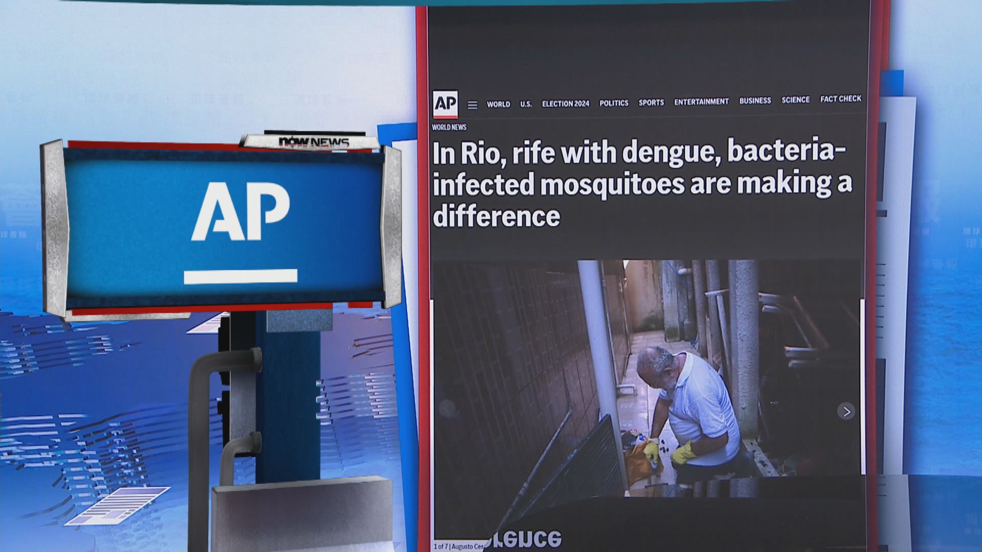 【環球薈報】巴西有城市培育帶病菌蚊子 成功遏制登革熱傳播