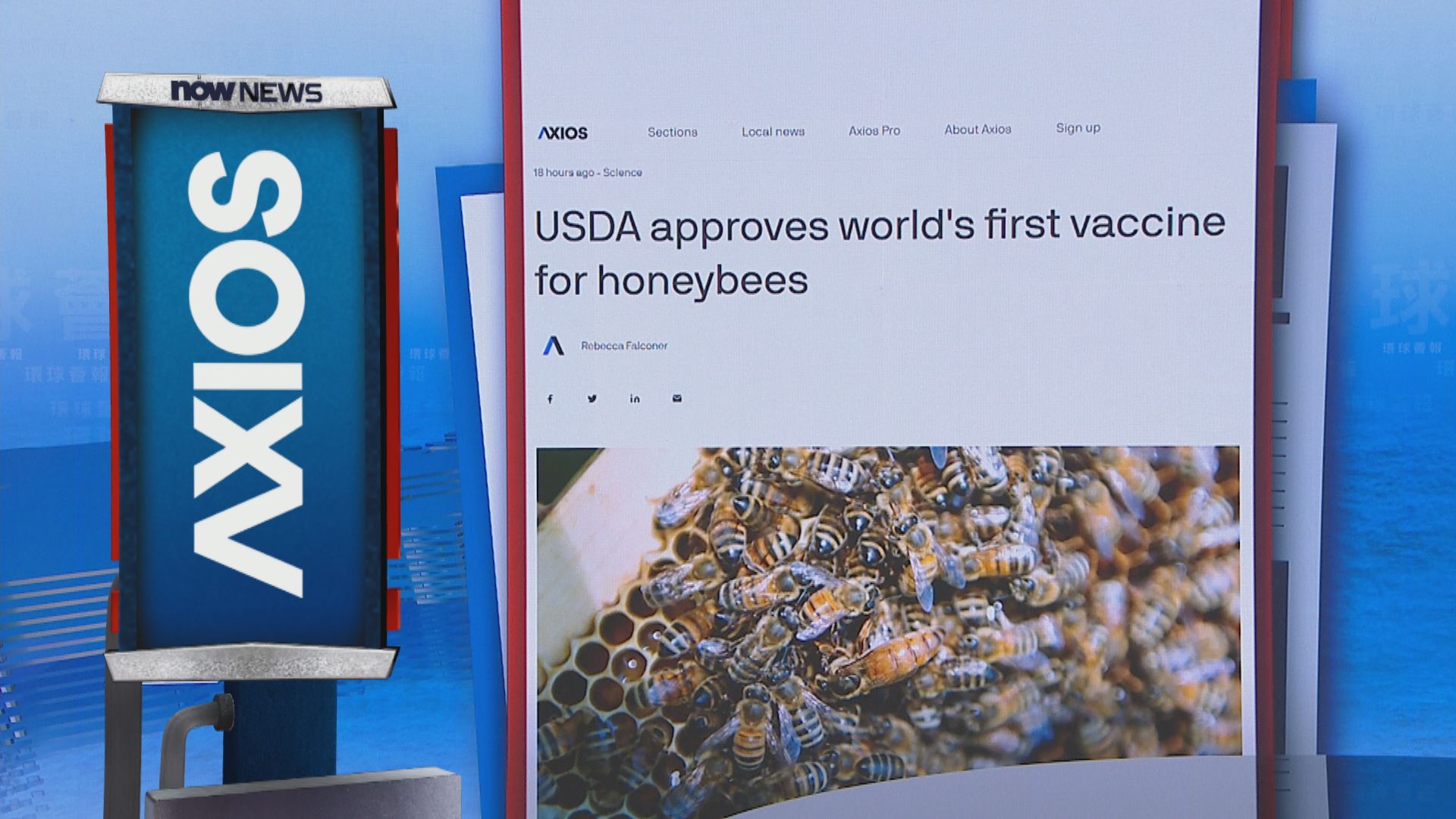 【環球薈報】美國農業部批准使用首款蜜蜂疫苗 
