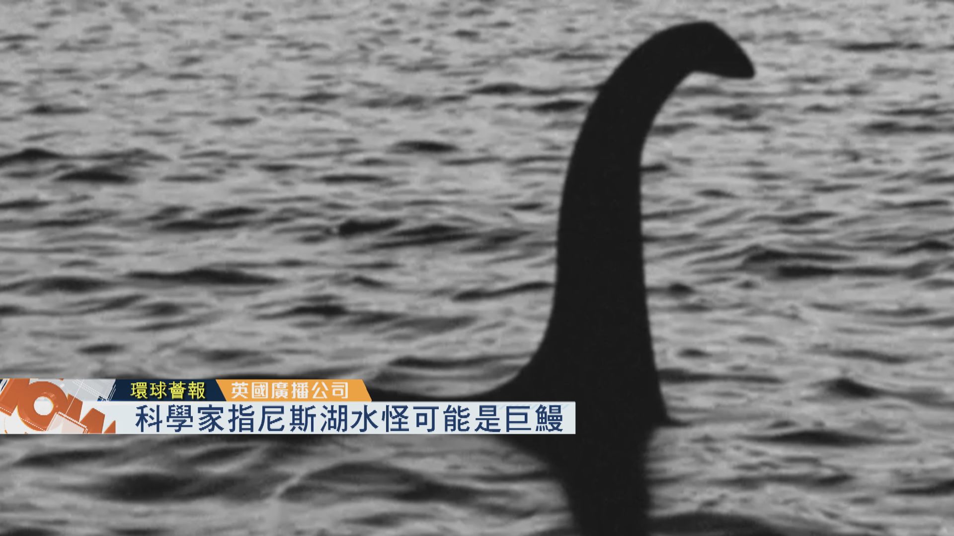【環球薈報】科學家指尼斯湖水怪可能是巨鰻