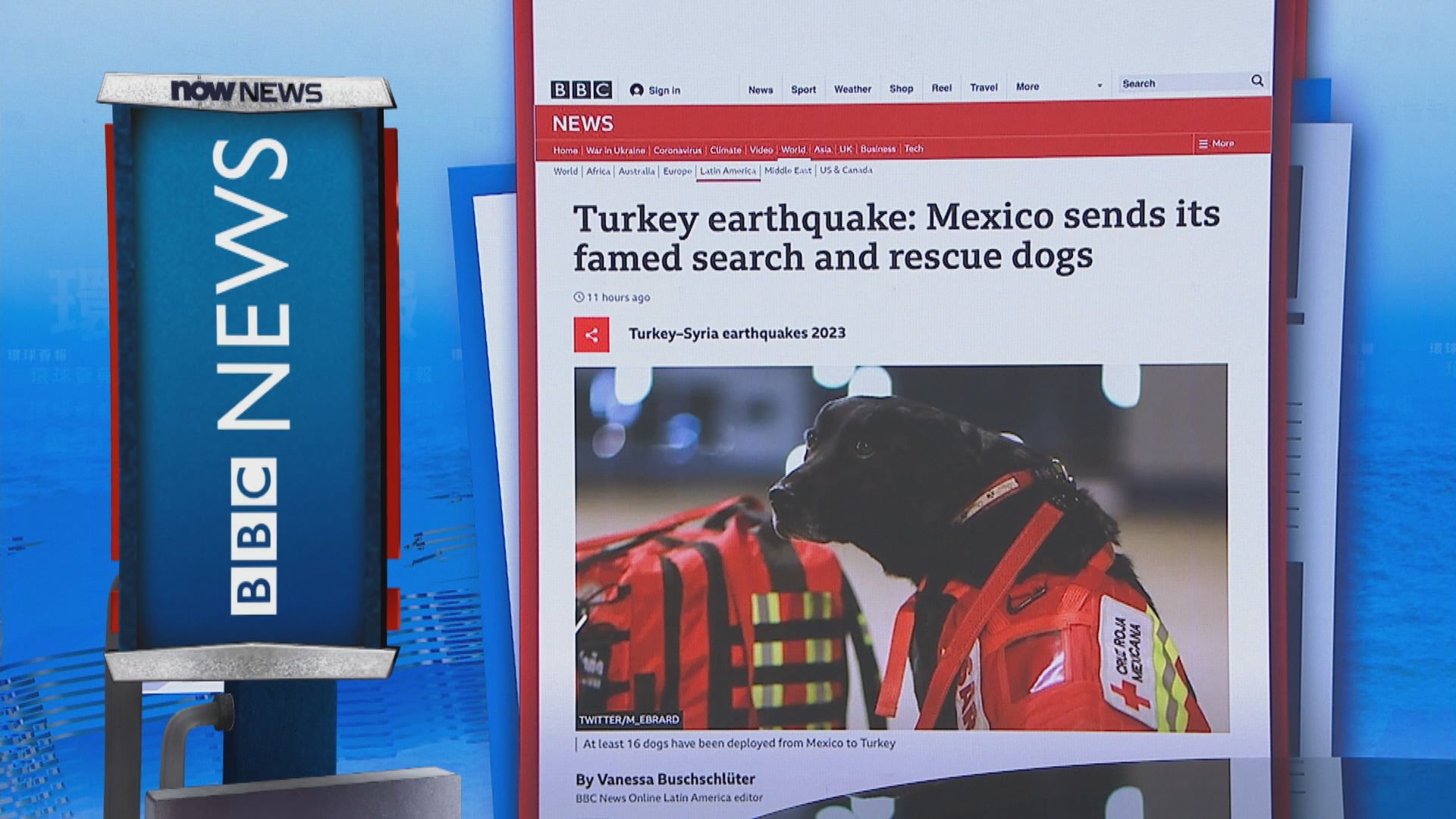 【環球薈報】墨西哥派遣精英搜救犬到土耳其地震災區協助救災
