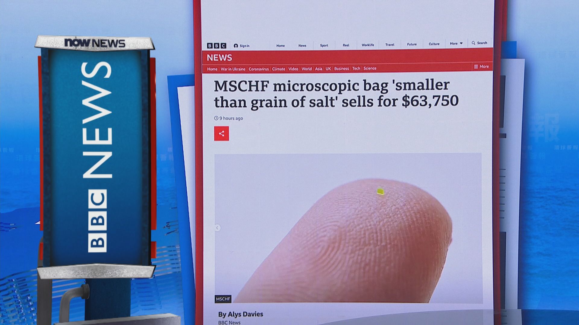 MSCHF microscopic bag 'smaller than grain of salt' sells for $63,750 - BBC  News