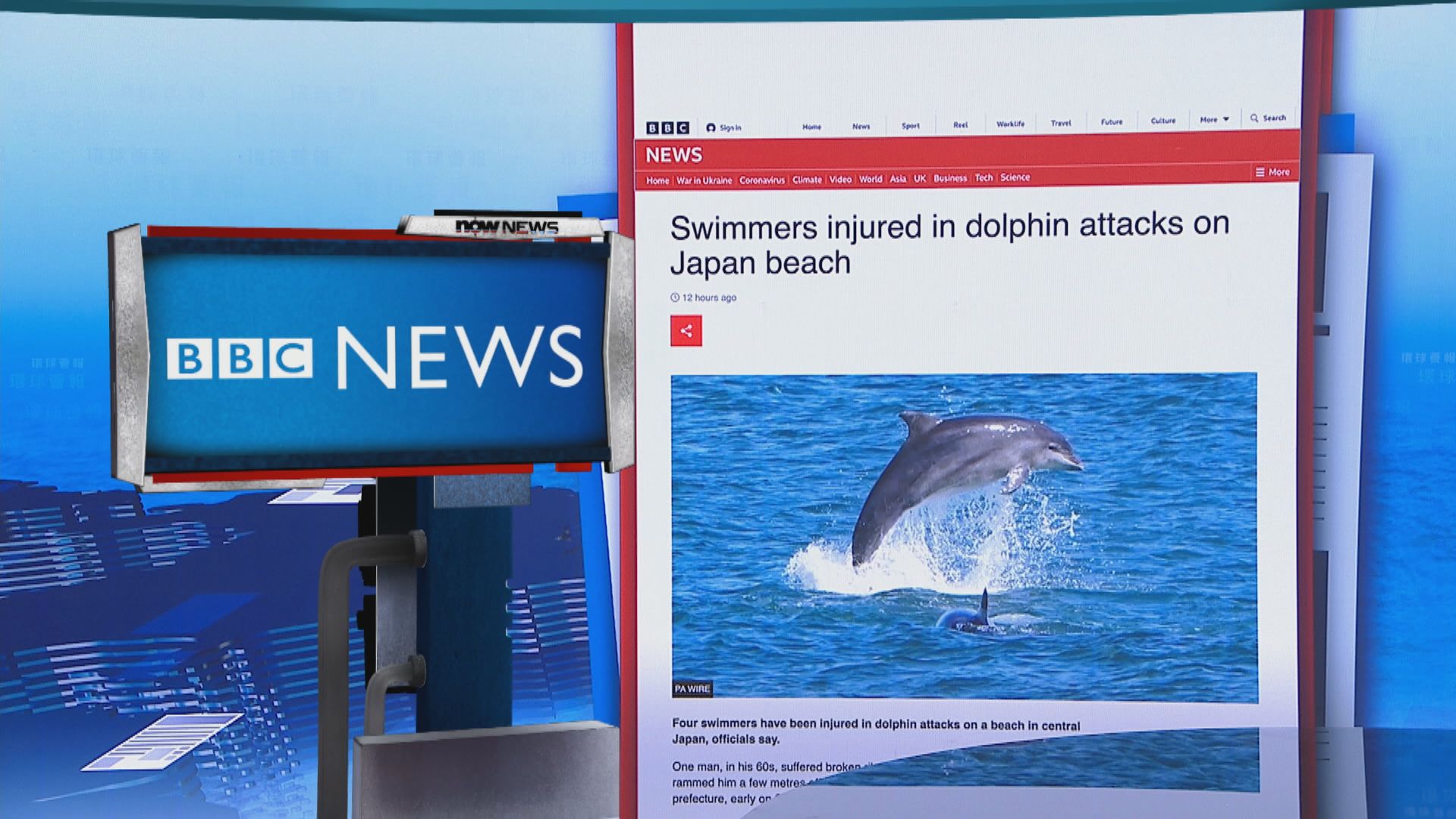 【環球薈報】日本福井縣海灘一日內有四人遭海豚襲擊