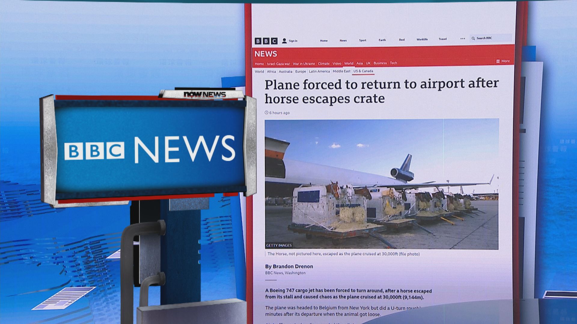 【環球薈報】機上馬匹逃出貨箱 貨機須折返紐約機場
